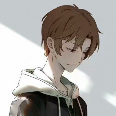 王毅：不能任由谁拳头硬谁说了算